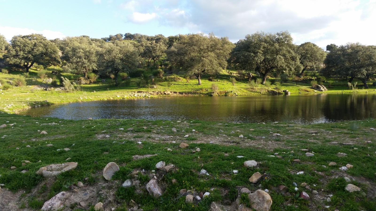 Valdelacasa del Tajo PHOTO-2025-05-19-14-48-27(1)