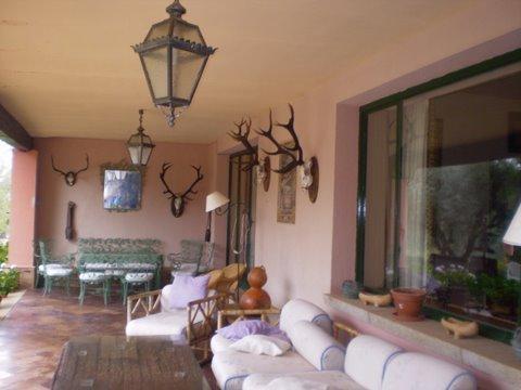 Finca Los Baños de Villanarejo 11