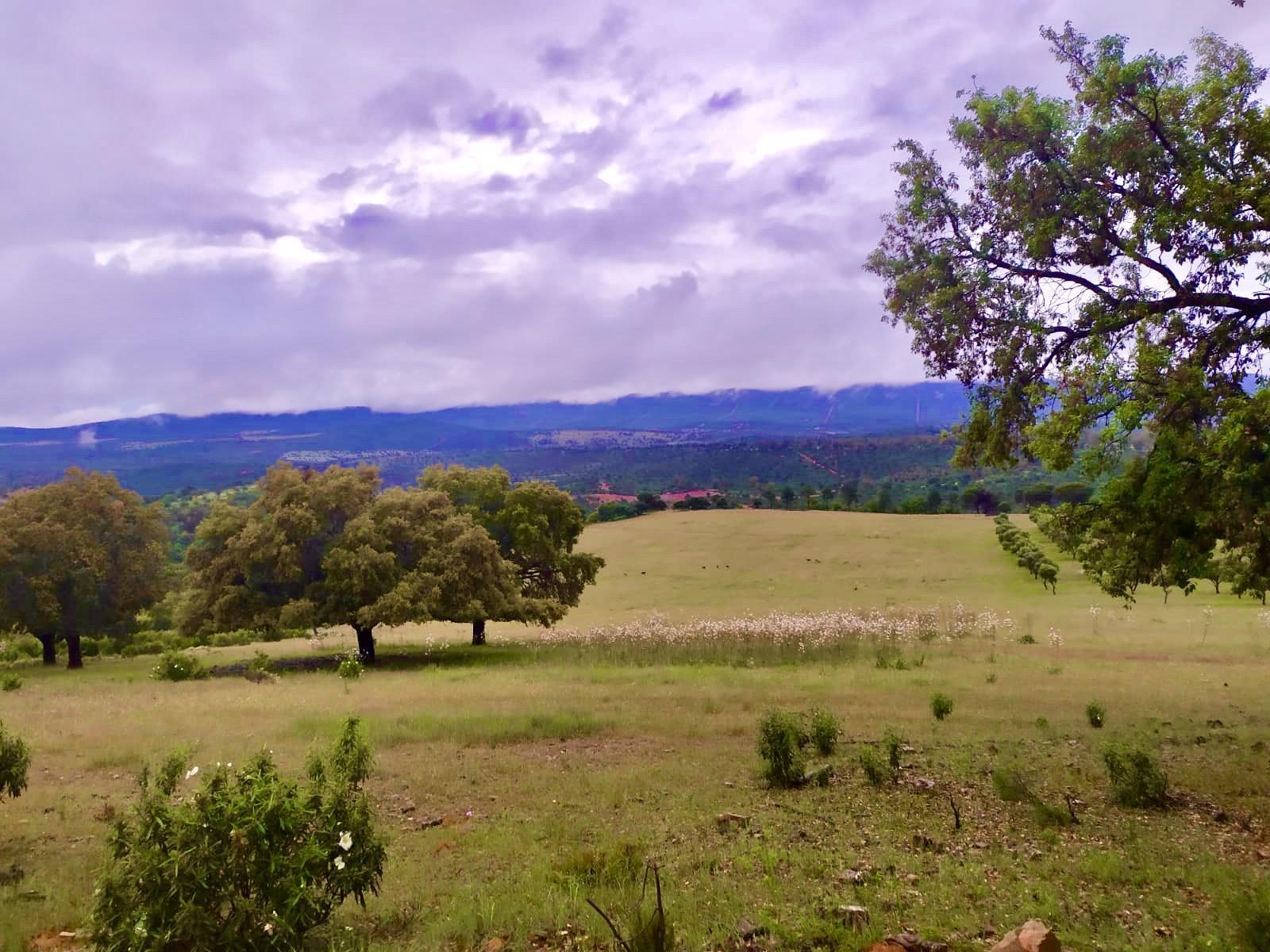 Finca Los Baños de Villanarejo 12