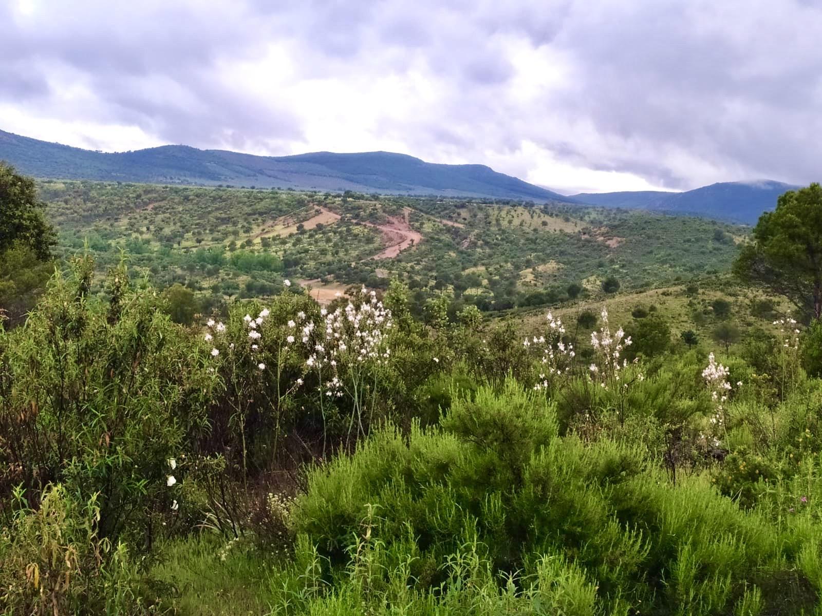 Finca Los Baños de Villanarejo 15