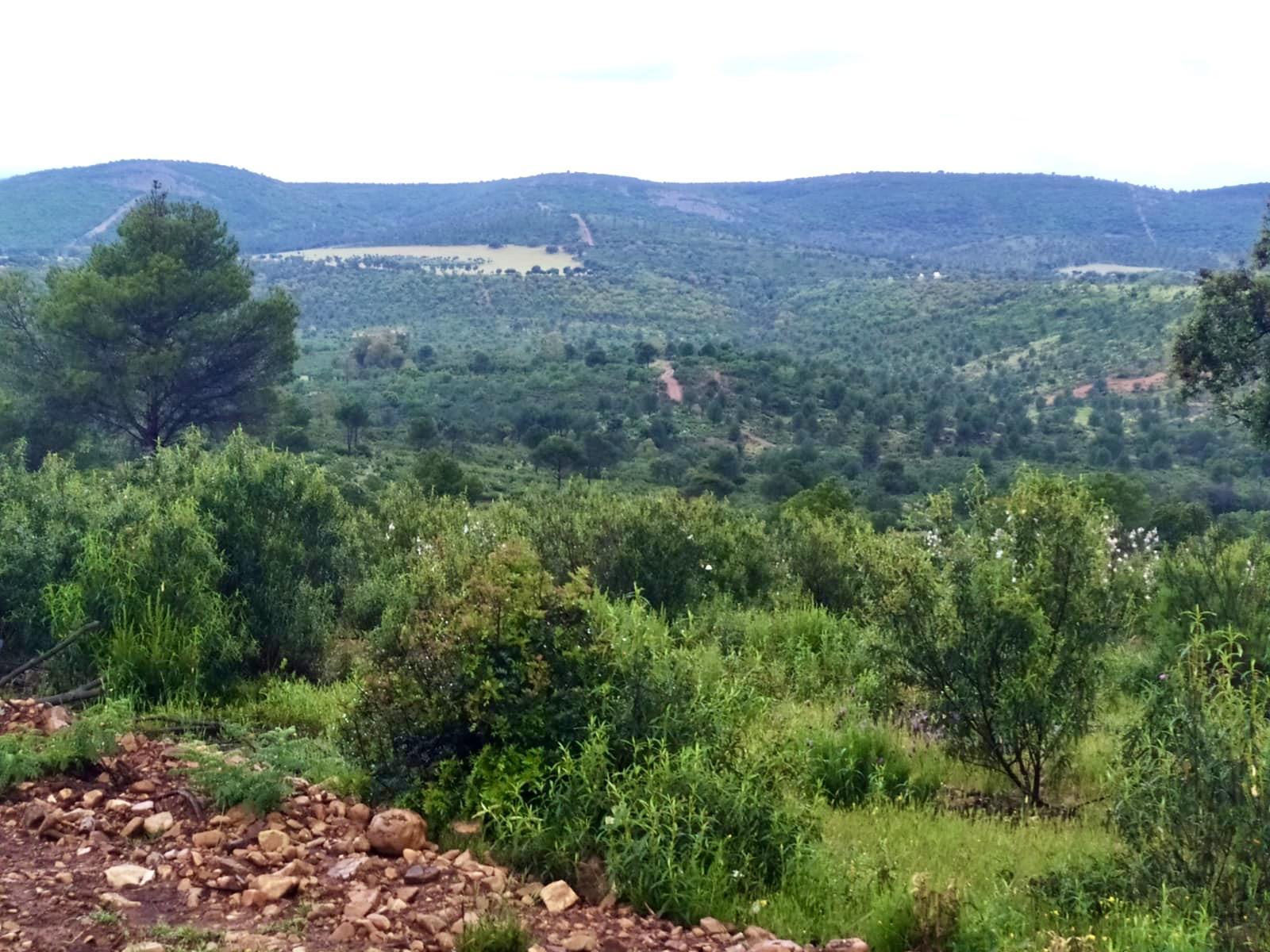 Finca Los Baños de Villanarejo 17